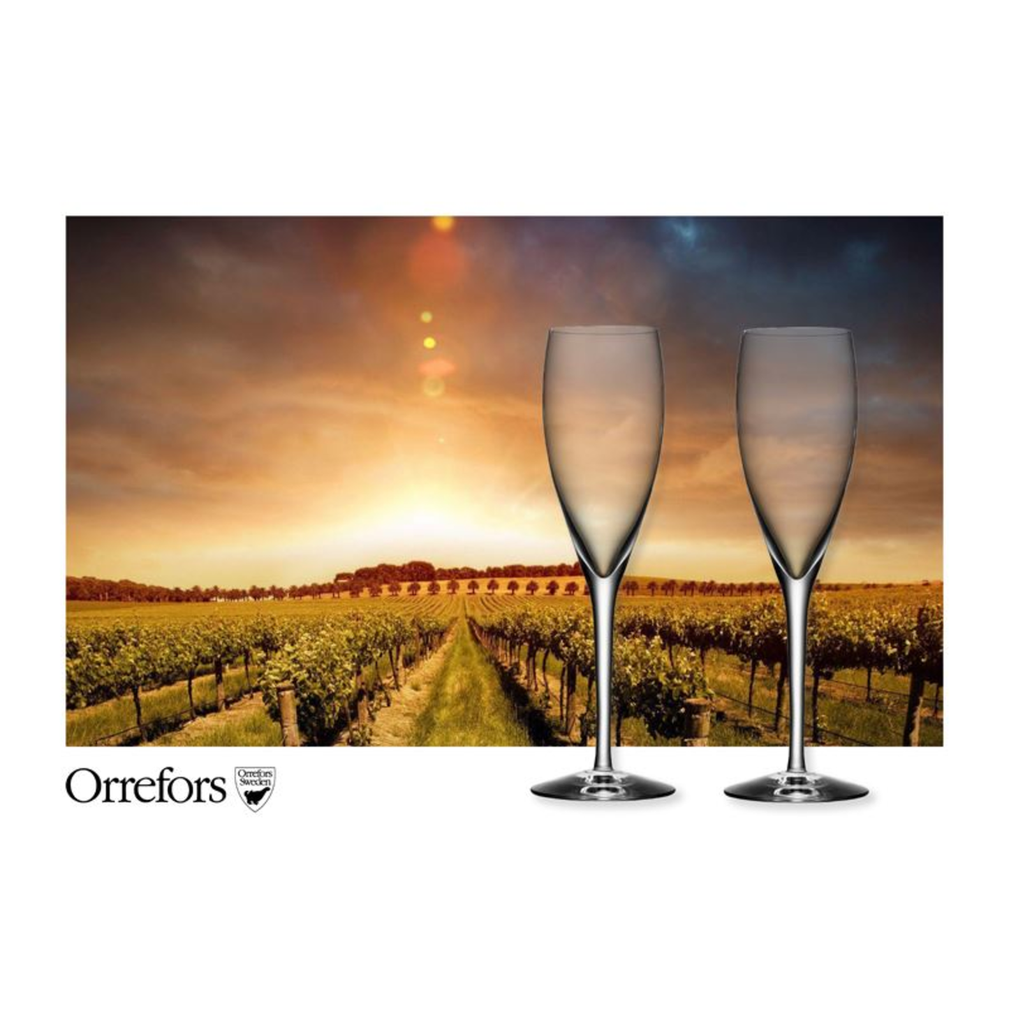 MORE CHAMPAGNE - (SET OF 8)