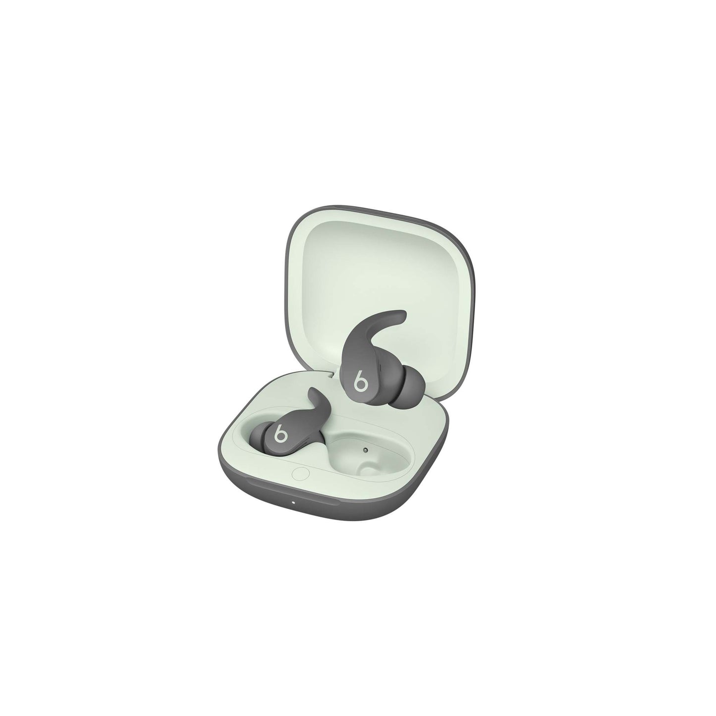 FIT PRO TRUE WIRELESS NOISE CANCELLING EARBUDS SAGE