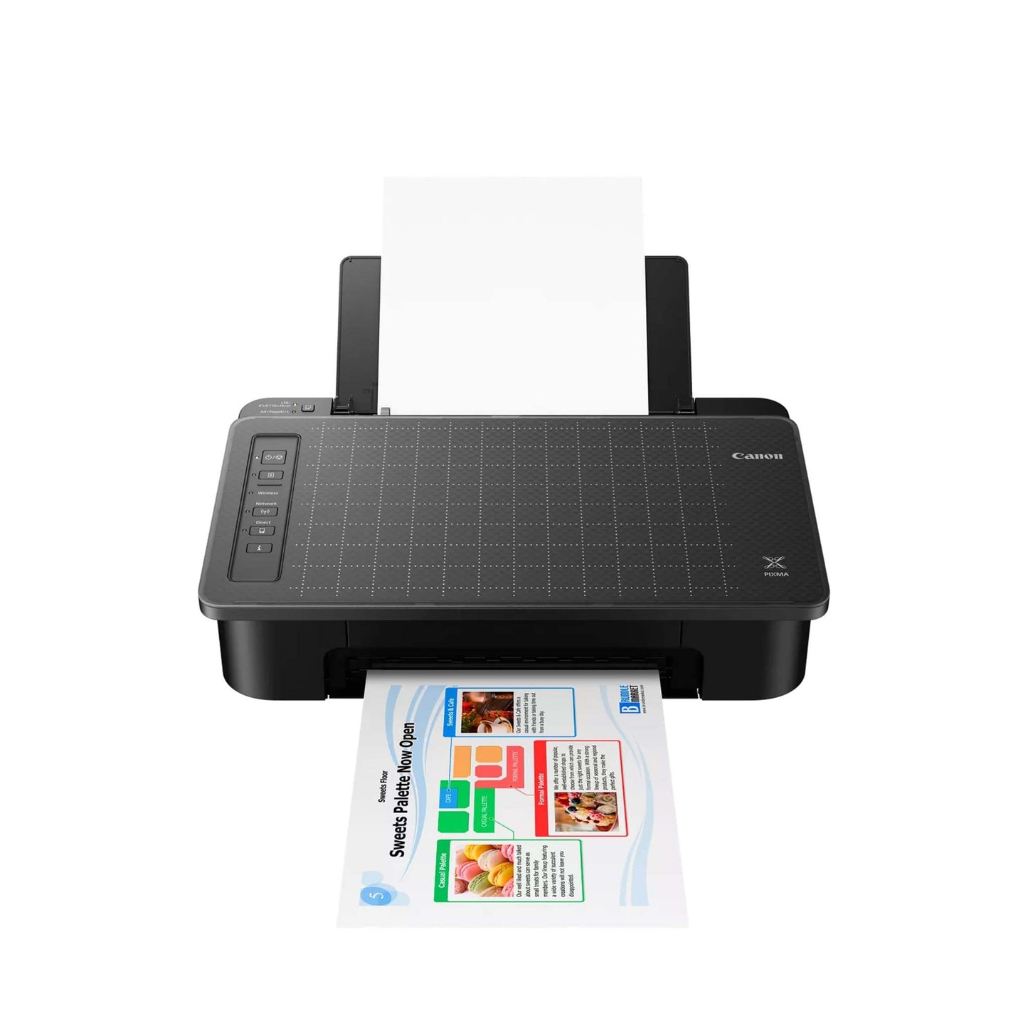 PIXMA TS302 WIRELESS PRINTER