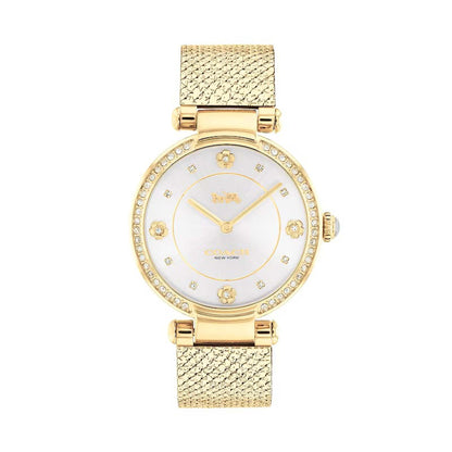 LADIES CARY CRYSTAL STAINLESS STEEL MESH WATCH