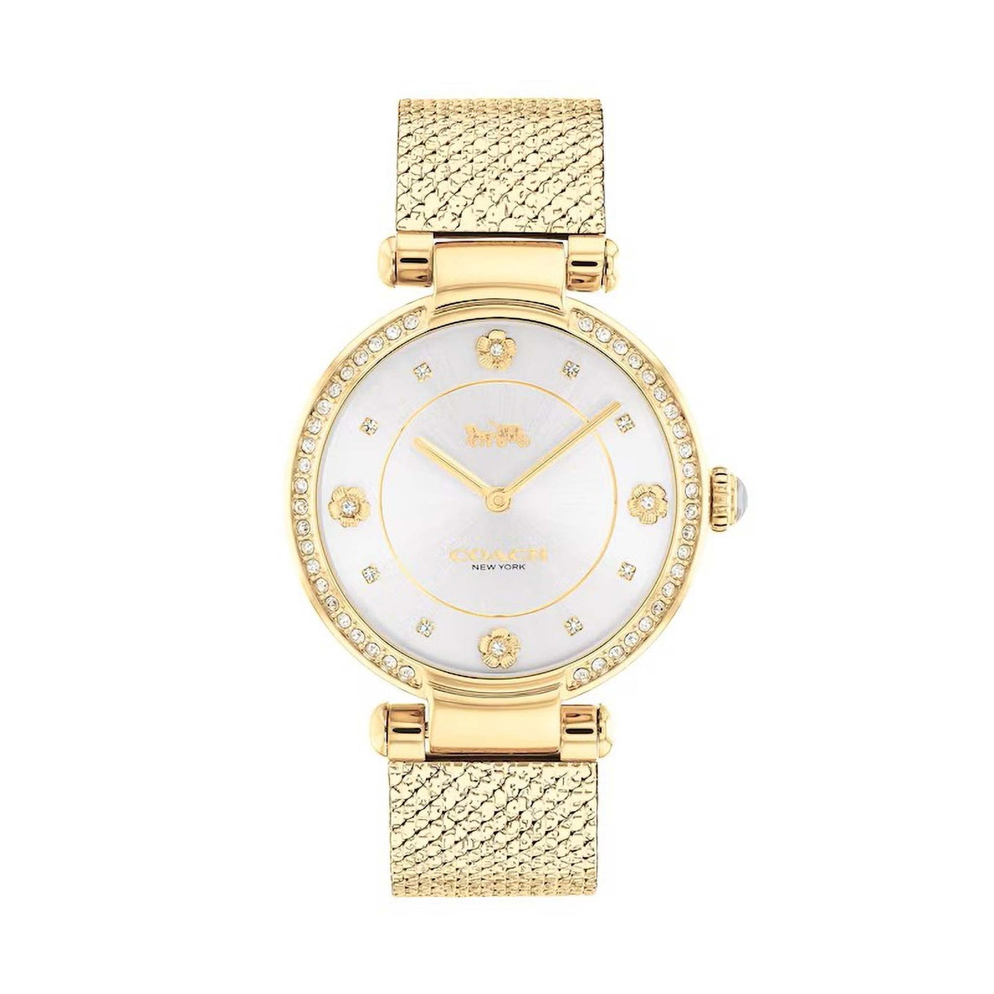 LADIES CARY CRYSTAL STAINLESS STEEL MESH WATCH