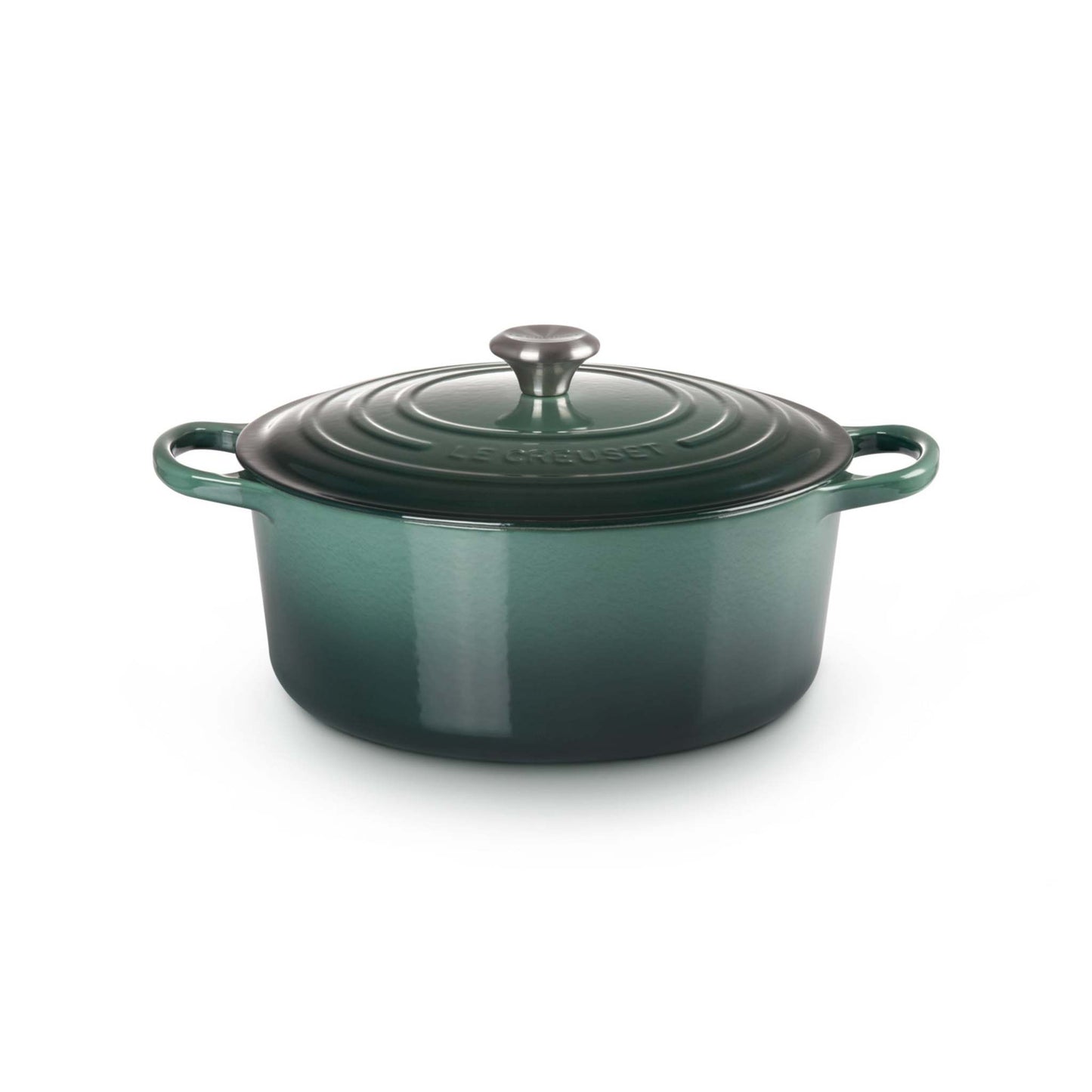 9QT SIGNATURE CAST IRON ROUND DUTCH OVEN ARTICHAUT