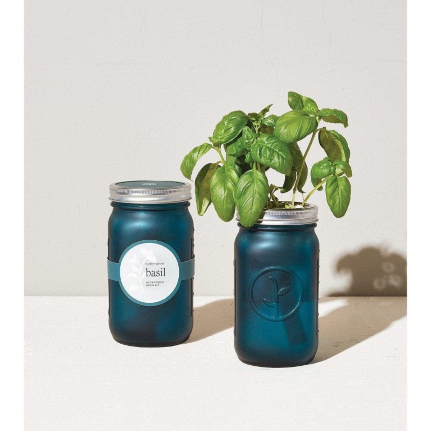 GARDEN JAR - (BASIL)