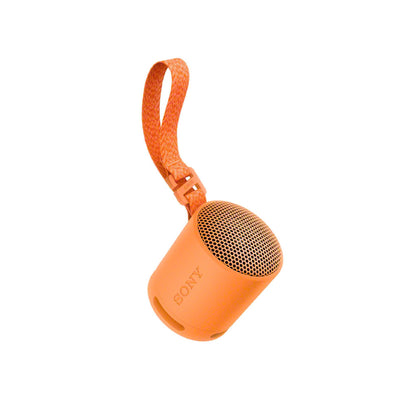 XB100 COMPACT BLUETOOTH WIRELESS SPEAKER