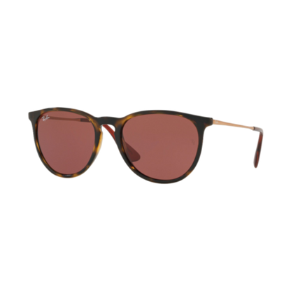 RAY-BAN ERIKA COLOR MIX SUNGLASSES