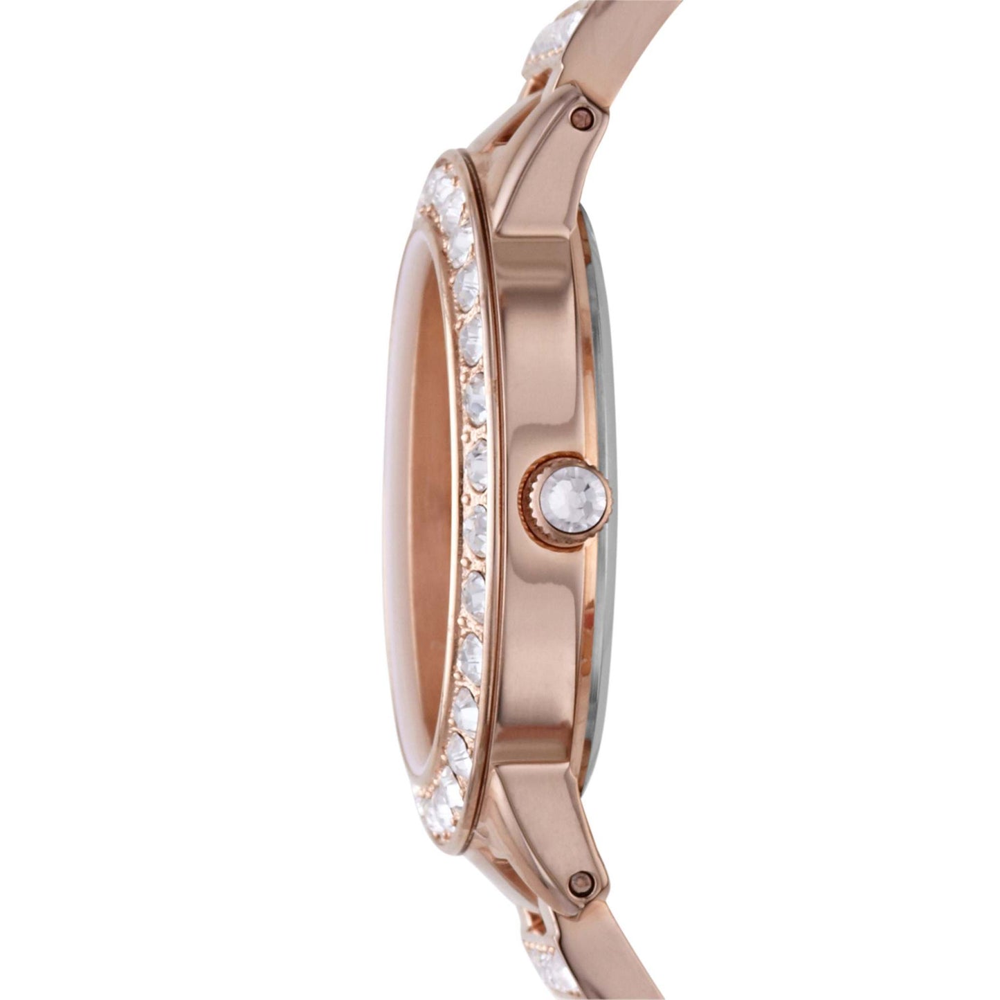LADIES' JESSE STANLESS STEEL CRYSTAL WATCH