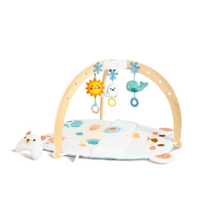 SNUGGLE BEAR ACTIVITY GYM